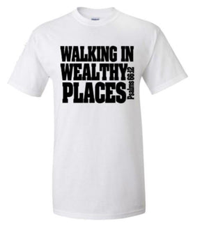 Walking into wealthy places t-shirt